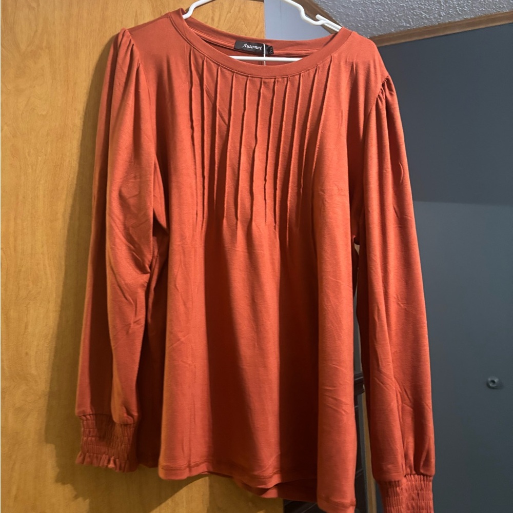 Avenue Rust Pleated Long Sleeve Blouse